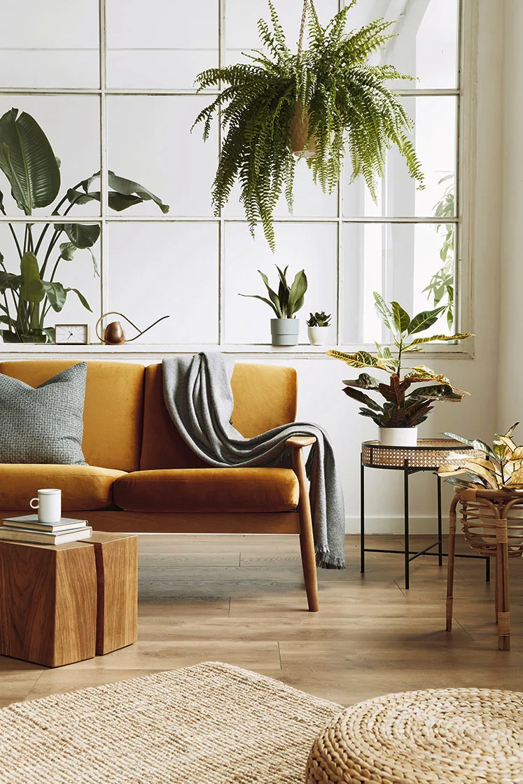 Bright open-plan living